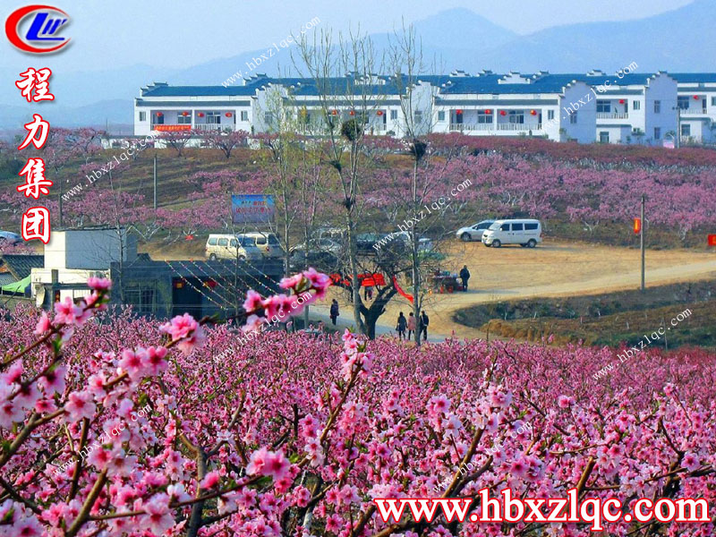 沒有三生三世，但有十里桃花——湖北程力集團(tuán)小編帶你去看十里桃花